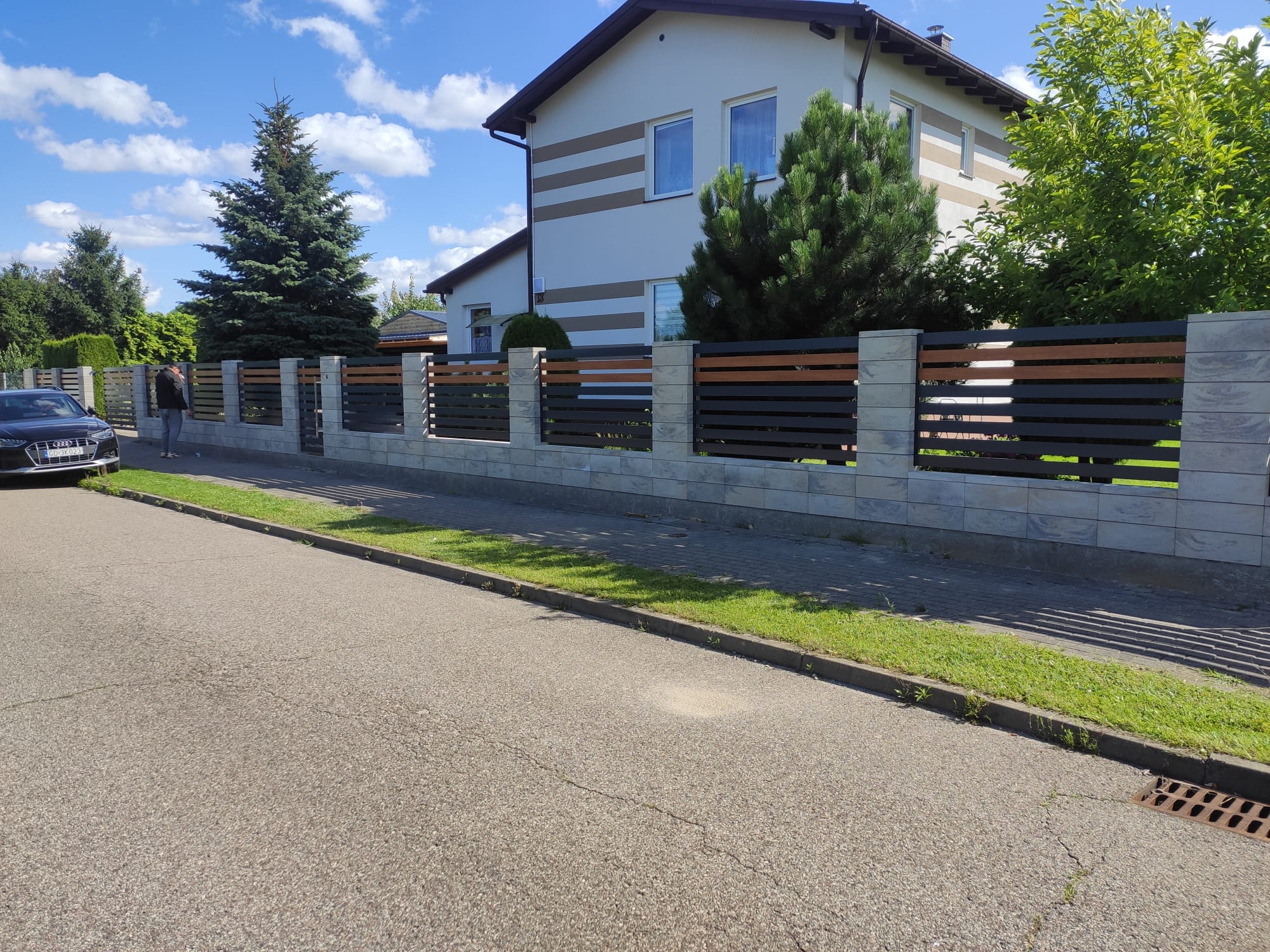 Palisada Brama + Furtka